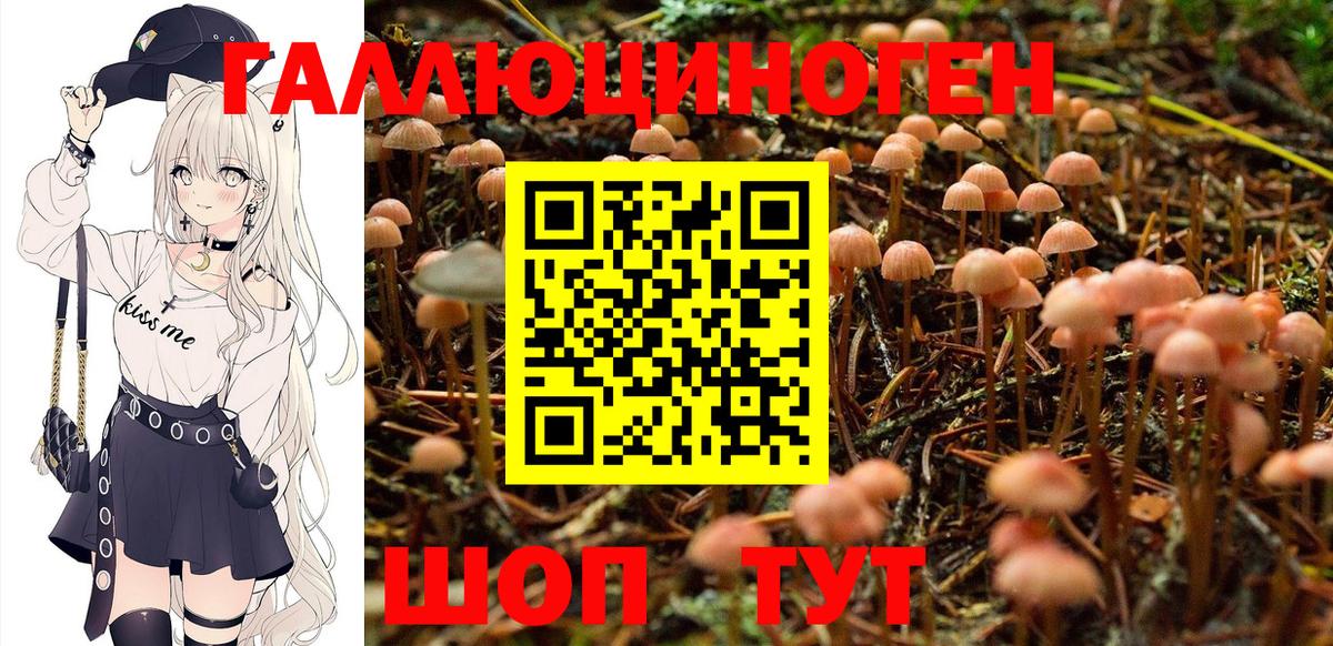 Псилоцибиновые грибы GOLDEN TEACHER Кимовск