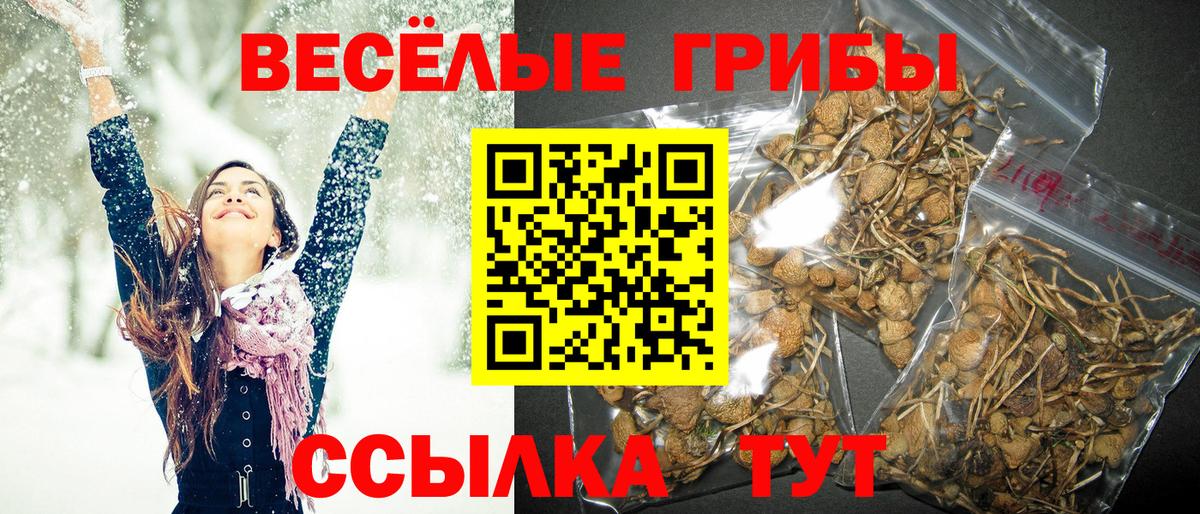 Кимовск  Галлюциногенные грибы мухоморы  Вход с VPN 